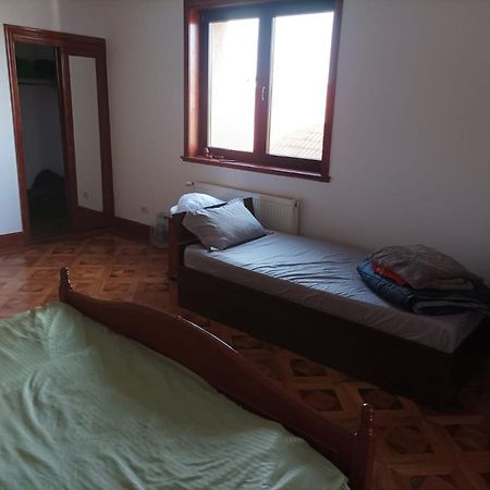 Casa De Vacanta Târgu Jiu エクステリア 写真